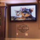58" Plasma